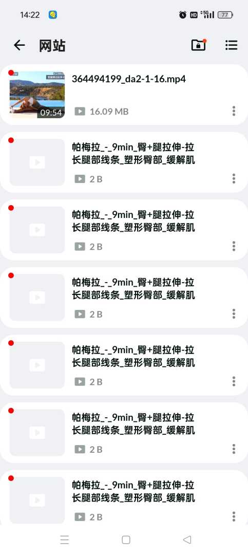 全能视频下载器🔥国内外网站嗅探下载🈲宅男必备 - 帖子图片2