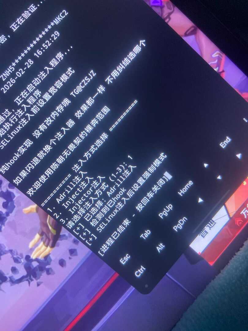 无畏契约瓦内透范围公益内核