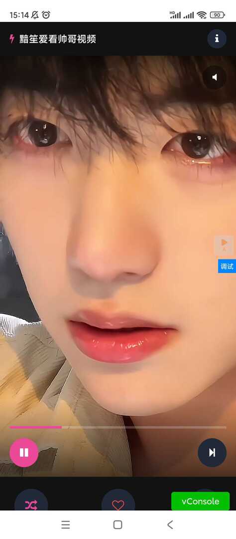 18个看小哥哥源码 9个电脑移动双端➕9个移动端源码