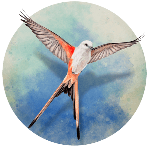 展翅翱翔 v1.v7.240.0710.1632 中文版