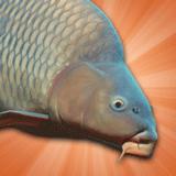 鲤鱼钓鱼模拟器