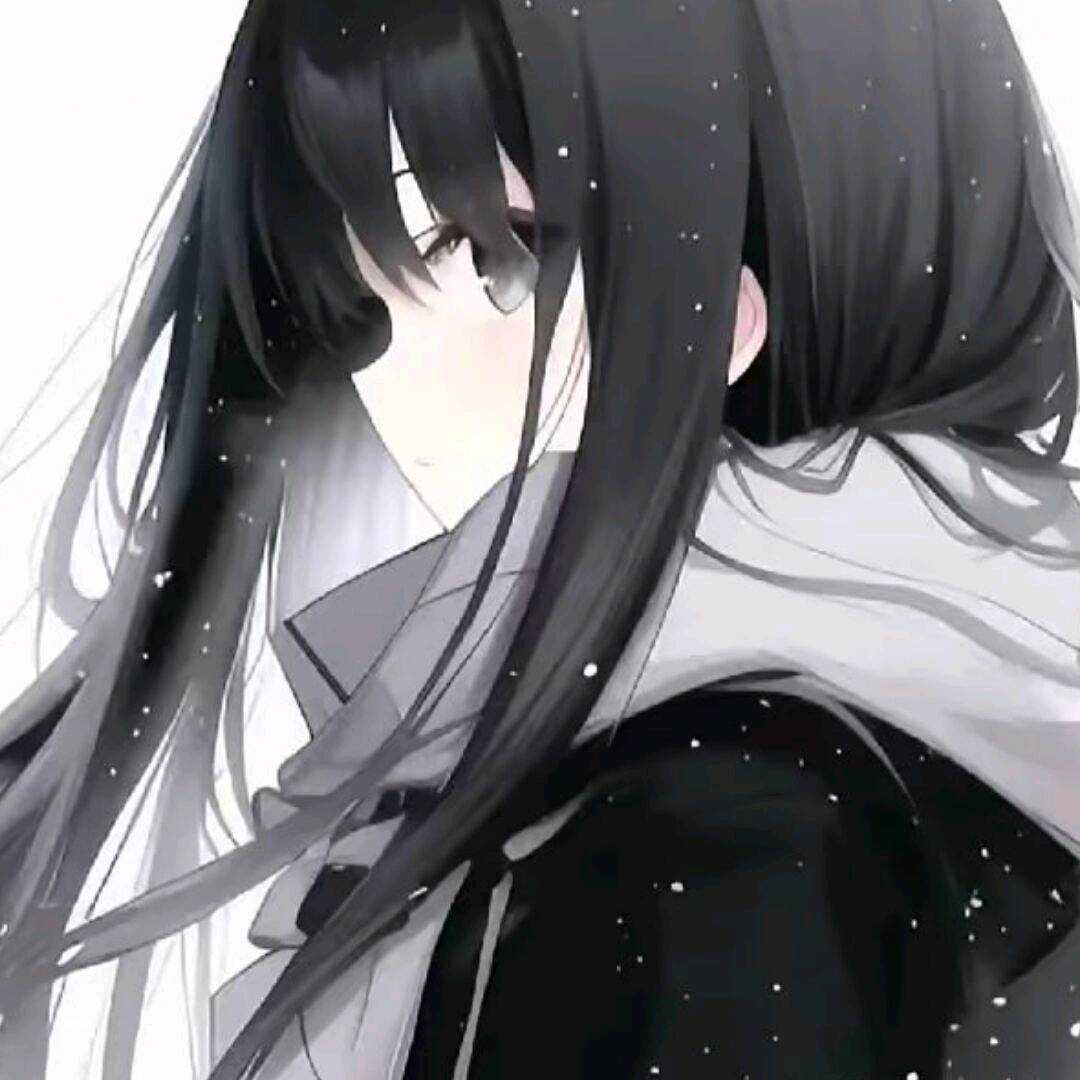 花落熊快跑V3软件图标