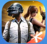 Start和平精英直装1.0图标